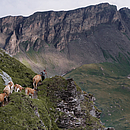 „Alpenland“