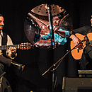 „Flamenco Guitars"