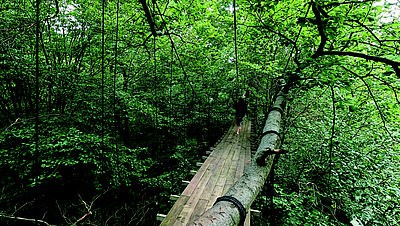 „Ways to Turn a Burning World Around"-