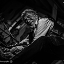 36. Goldegger Blues & Folk Tage